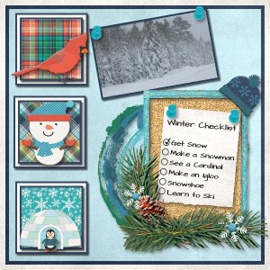 Winter Checklist