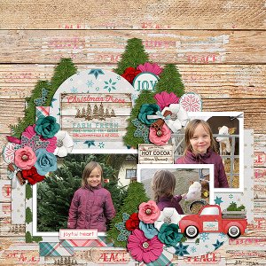 Christmas Trees