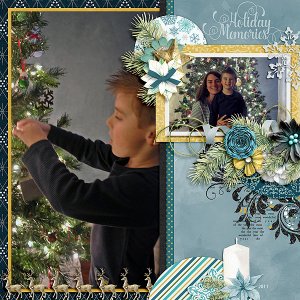 Holiday Memories