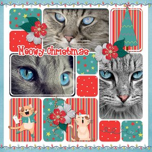 A Meowsy Christmas