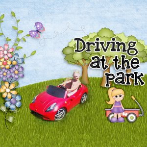 Driving-at-the-park