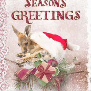 Seasons Greetings - Card