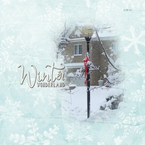 Winter Wonderland