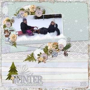 our winter wonderland