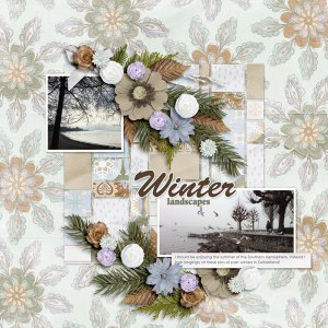 Winter Landscapes
