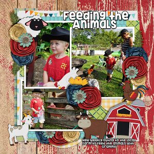 feeding-the-animals-1st-visit