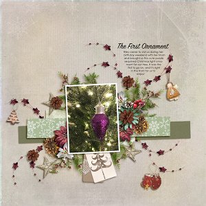 The First Ornament of Christmas