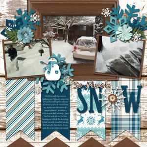 So Much Snow