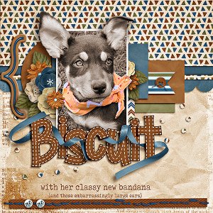Biscuit