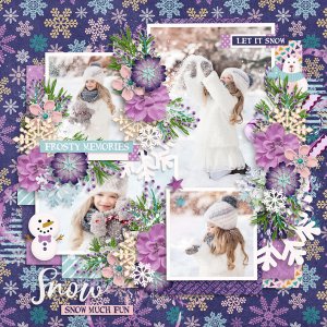 Snow Wishes