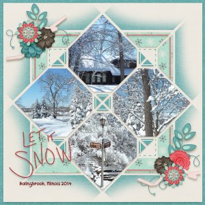 Our snowy home