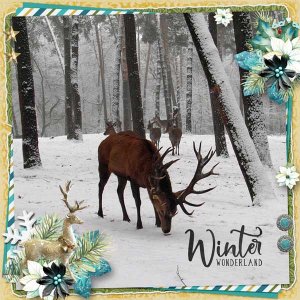 Winter Gala
