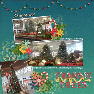Transit Trees