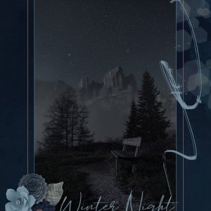 Winter Night