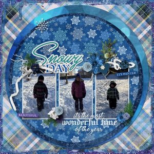 Snowy Days