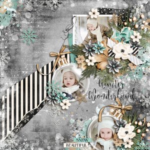 winter wonderland