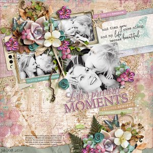life's precious moments