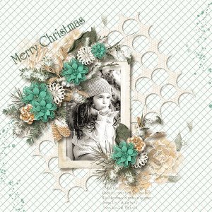 Christmas in the village