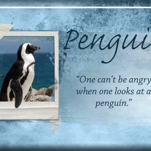 ATC 2019-142 Penguin