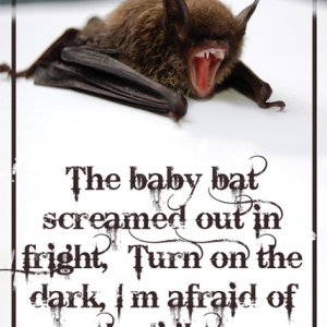 Bats