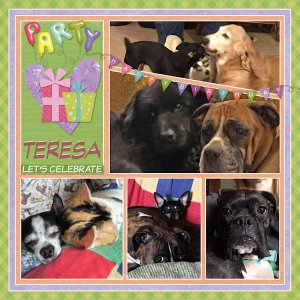 Happy Birthday Teresa