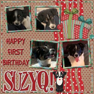 Happy Bday SuzyQ