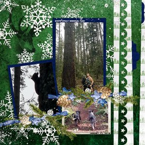 TB-Tincel-Toes-Tcot-Temp--kit-Winter-Solstice-Irina-1