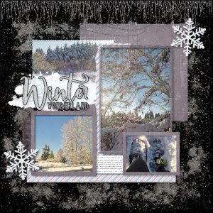 January Snow 2017