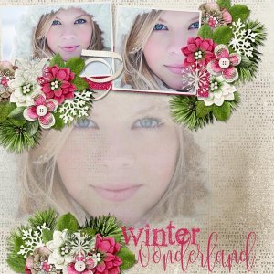 Winter Wonderland