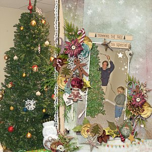 Trimming the Tree in 2009