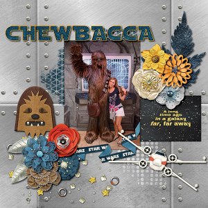 Meeting Chewbacca - Star Wars