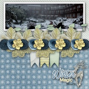 Winter Magic Brazil