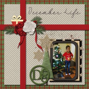 December Life 2019