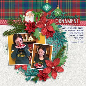 2019 Funny Ornament Photos