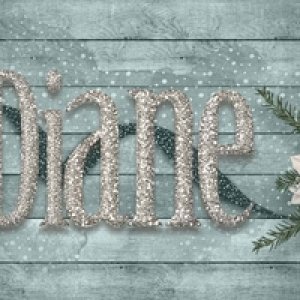 December 2019 Siggy