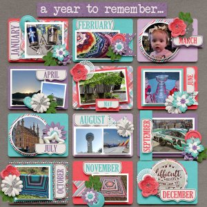 2019 Year in Review