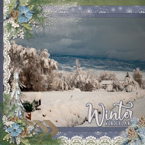 Winter Wonderland
