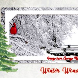 Winter Wonderland