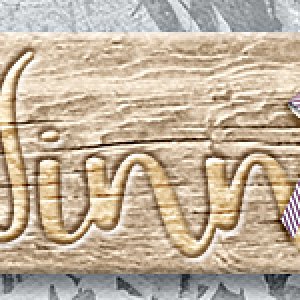 2019.12 Siggy