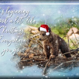 ATC 2019-145 It's Beginning to Look a Lot Like Christmas