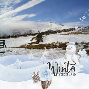 Winter wonderland