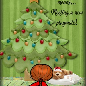 Christmas means...