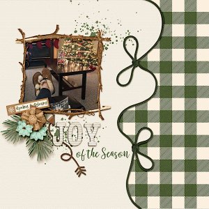 Joy of the Season