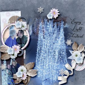 Enjoy Light Festival