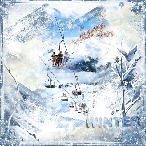 WHITE COAT OF WINTER