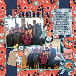 My Extended Family