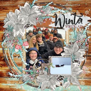 Winter Wonderland