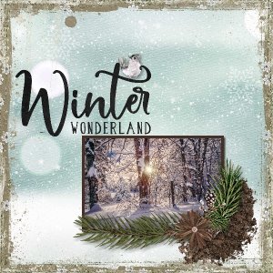 Winter Wonderland
