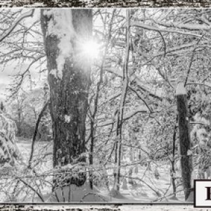 December header