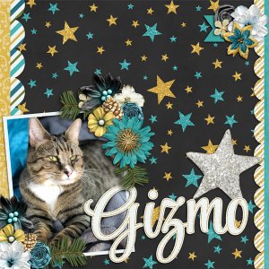 Gizmo 2019